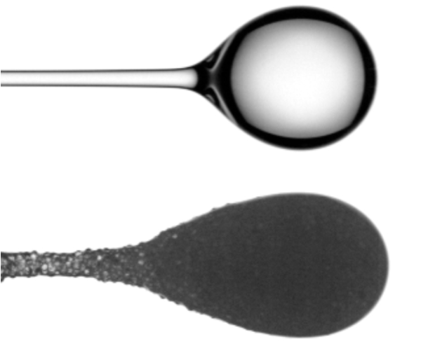 Publication Image